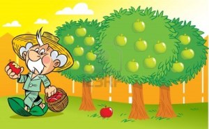 14266017-gray-haired-old-man-in-the-garden-gathering-apples-illustration-done-in-cartoon-style
